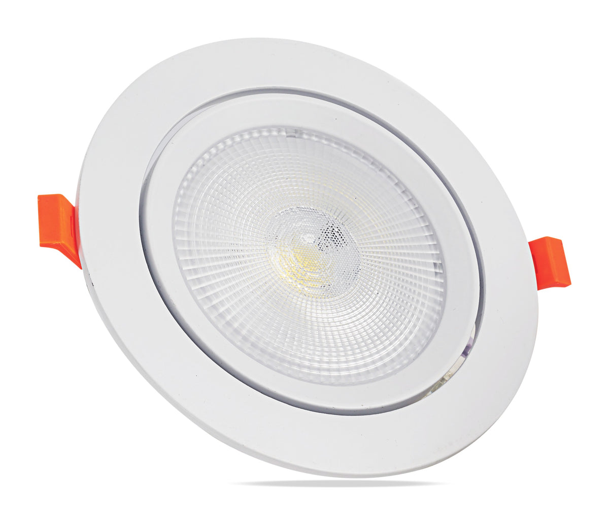 Recessed Adjustable COB Downlight 30W