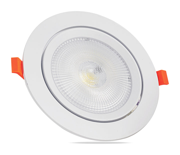 Recessed Adjustable COB Downlight 30W