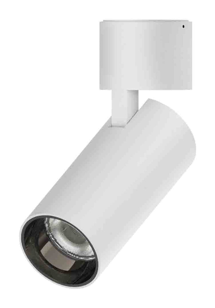 Surface Adjustable Cylinder Spot 12W, White