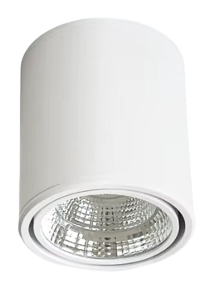 Surface COB Spot 10W, White